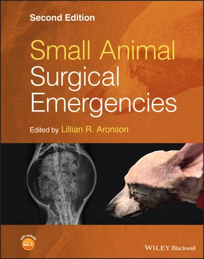 Неизвестный Автор Small Animal Surgical Emergencies обложка книги