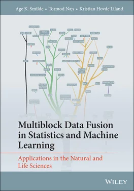 Tormod Næs Multiblock Data Fusion in Statistics and Machine Learning обложка книги