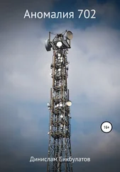 Динислам Бикбулатов - Аномалия 702