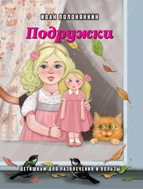 Иван Полонянкин Подружки обложка книги