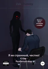 Zak Dummy - Я не странный, честно! 4 том. Разбитый мир
