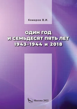 Владимир Комаров Один год и семьдесят пять лет. 1943–1944 и 2018 обложка книги