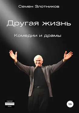 Семен Злотников Другая жизнь обложка книги