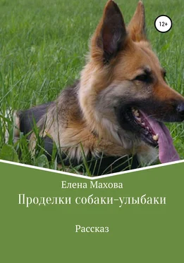 Елена Махова Проделки собаки-улыбаки обложка книги