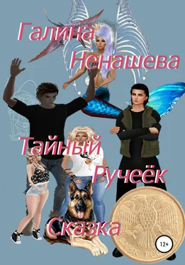 Галина Ненашева Тайный ручеёк. Сказка обложка книги