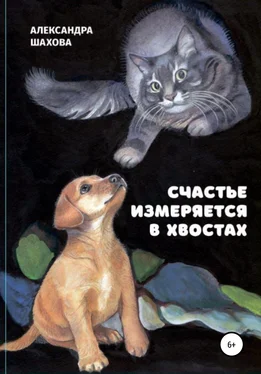 Александра Шахова Счастье измеряется в хвостах обложка книги