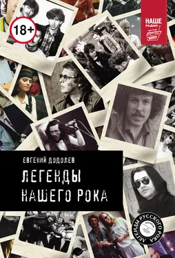 Евгений Додолев Легенды нашего рока обложка книги