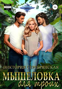 Виктория Серебрянская Мышеловка для троих обложка книги
