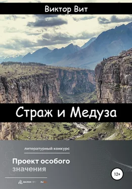 Виктор Вит Страж и Медуза обложка книги