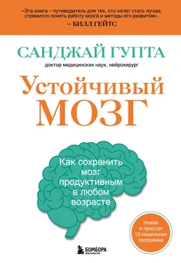 Санджай Гупта Устойчивый мозг. Как сохранить мозг продуктивным в любом возрасте обложка книги