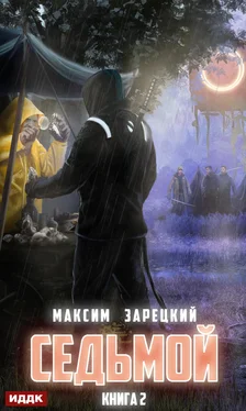 Максим Зарецкий Седьмой. Книга 2 обложка книги