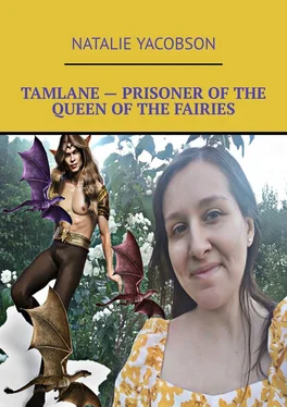Natalie Yacobson Tamlane – Prisoner of the queen of the fairies обложка книги