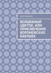 Олег Пименов - Волшебный цветок, или Приключения воронежских бабушек