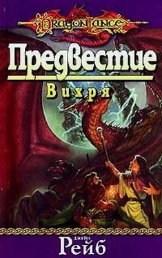 Джейн Рейб Предвестие Вихря обложка книги