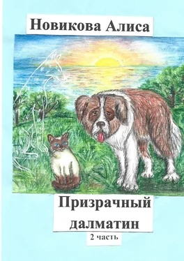 Алиса Новикова Призрачный далматин. 2-я часть обложка книги
