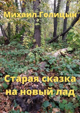 Михаил Голицын Старая сказка на новый лад обложка книги