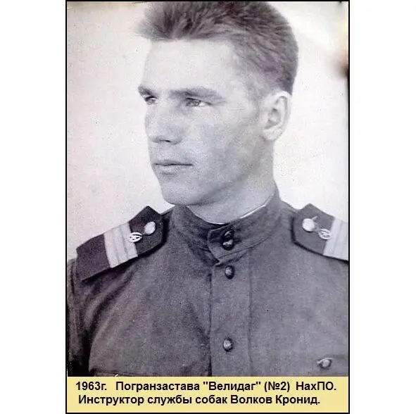 Эту кухню на питомнике использовали фотографы для тайной печати снимков а - фото 66