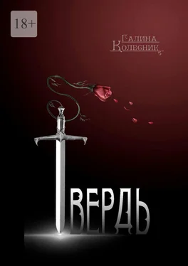 Галина Колесник Твердь. Альтернативный взгляд на историю средних веков обложка книги