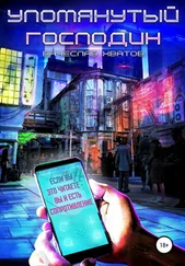 Вячеслав Хватов - Упомянутый господин