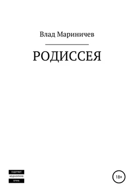 Влад Мариничев Родиссея обложка книги