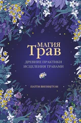 Патти Вигингтон - Магия трав. Древние практики исцеления травами