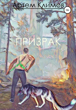 Артём Климов Призрак обложка книги