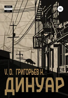 Григорьев Н. Динуар обложка книги