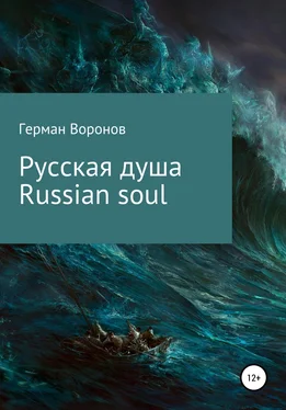 Герман Воронов Русская душа. Russian soul обложка книги