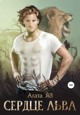Агата Яд Сердце льва обложка книги
