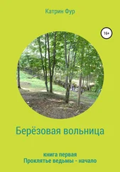 Катрин Фур - Берёзовая вольница