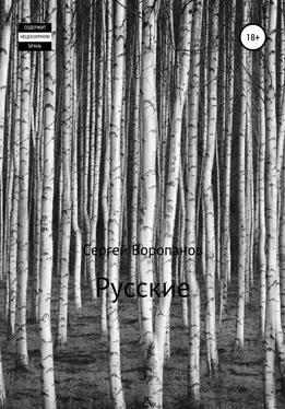 Сергей Воропанов Русские обложка книги