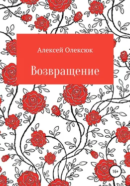 Алексей Олексюк Возвращение обложка книги
