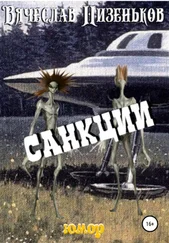 Вячеслав Низеньков - Санкции