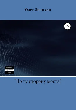 Олег Лепихин По ту сторону моста обложка книги