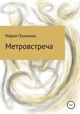 Мария Полунина Метровстреча обложка книги