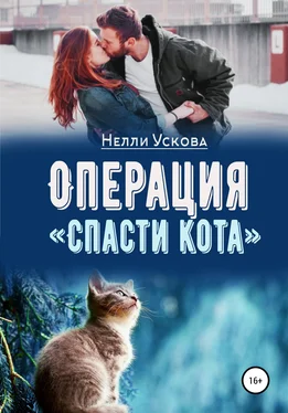 Нелли Ускова Операция «Спасти кота» обложка книги