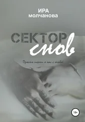 Ирина Сергеевна Молчанова - Сектор снов