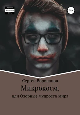 Сергей Воропанов Микрокосм, или Озорные мудрости мира обложка книги