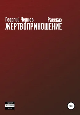 Георгий Чернов Жертвоприношение обложка книги