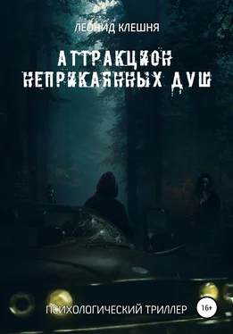 Леонид Клешня Аттракцион неприкаянных душ обложка книги