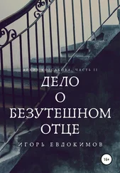 Игорь Евдокимов - Дело о безутешном отце