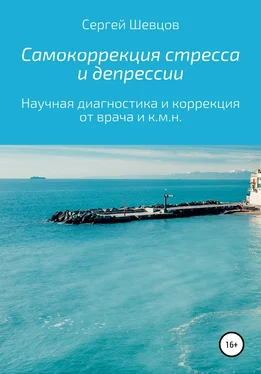 Сергей Шевцов Самокоррекция стресса и депрессии обложка книги