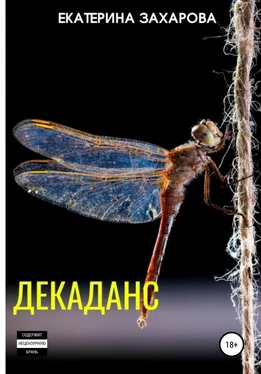 Екатерина Захарова Декаданс обложка книги