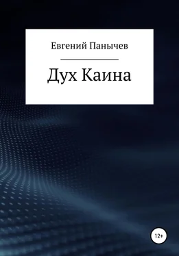 Евгений Панычев Дух Каина обложка книги