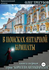 Тайна янтарной комнаты книга