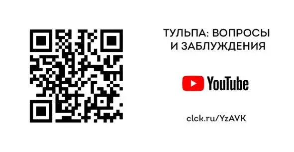 Разбитый разум мир шизофрении Одним из самых распространённых мифов является - фото 11