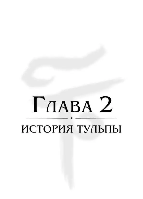 Глава 2 История тульпы Если вы не готовы видеть больше того что видно вы - фото 6