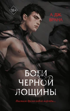 А. Дж. Врана Боги Черной Лощины обложка книги