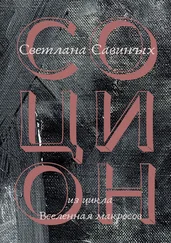Светлана Савиных - Социон