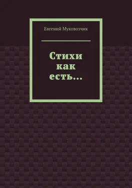 Евгений Муковозчик Стихи как есть… обложка книги
